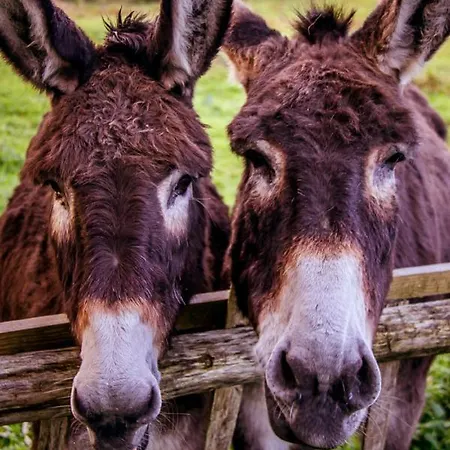 Сasa de vacaciones Le Du Pré Dorė Bonneville-la-Louvet