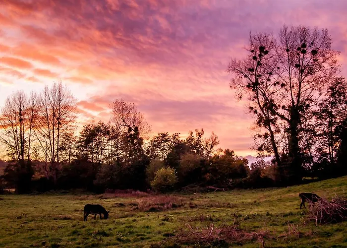 Nyaraló Le Du Pre Dore *