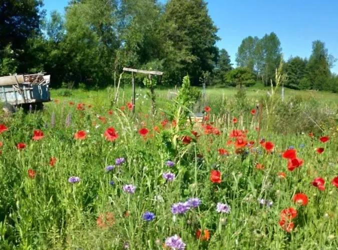 Le Du Pre Dore Σπίτι διακοπών *